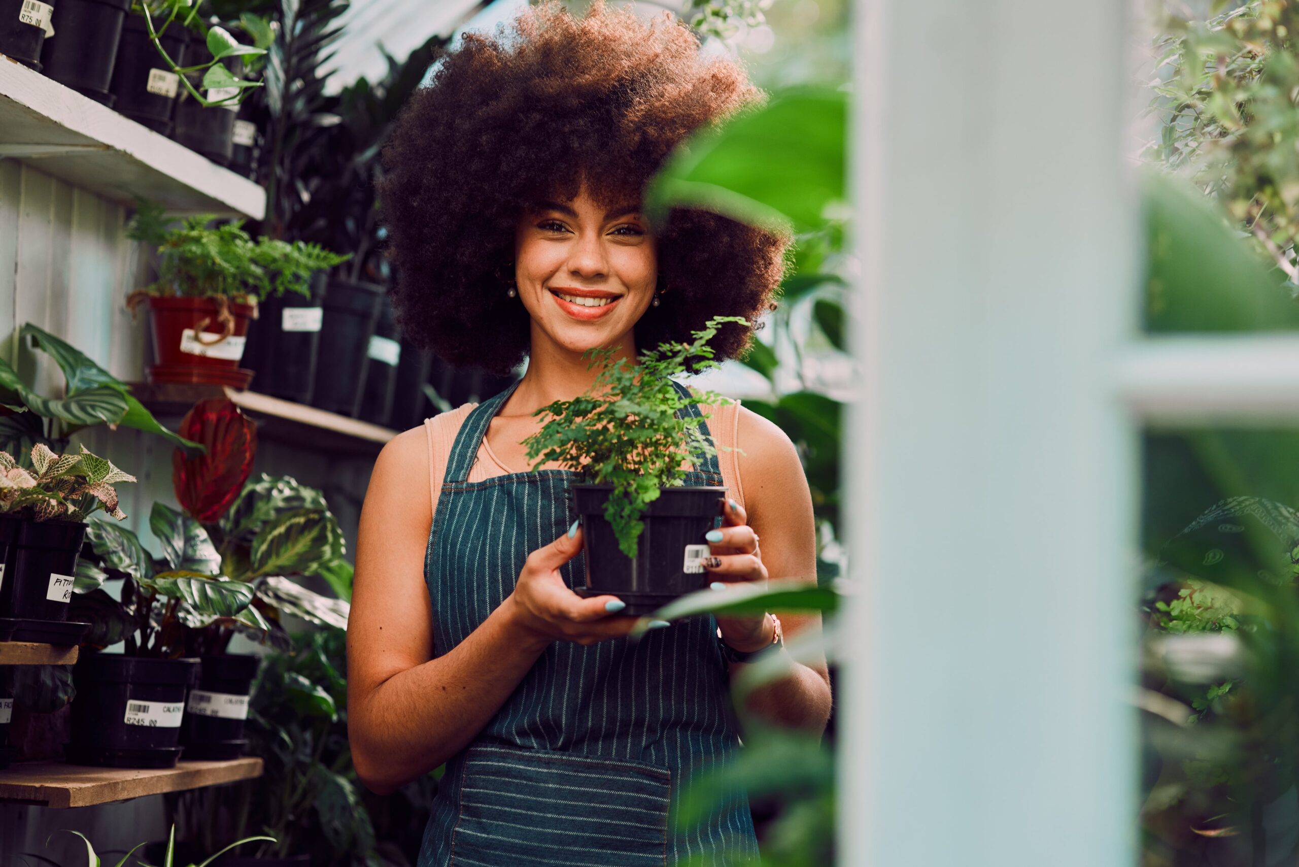 best energy suppliers