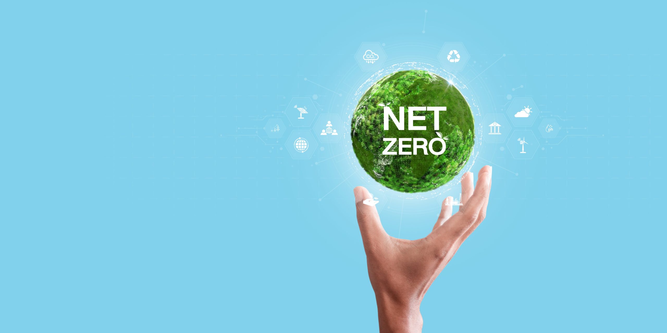 net zero